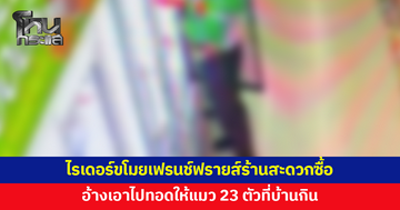 รวบไรเดอร์ขโมยเฟรนช์ฟรายส์ในร้านสะดวกซื้อ อ้างไม่มีเงิน แฟนตกงาน 2 เดือน ต้องเอาไปทอดให้แมวกิน