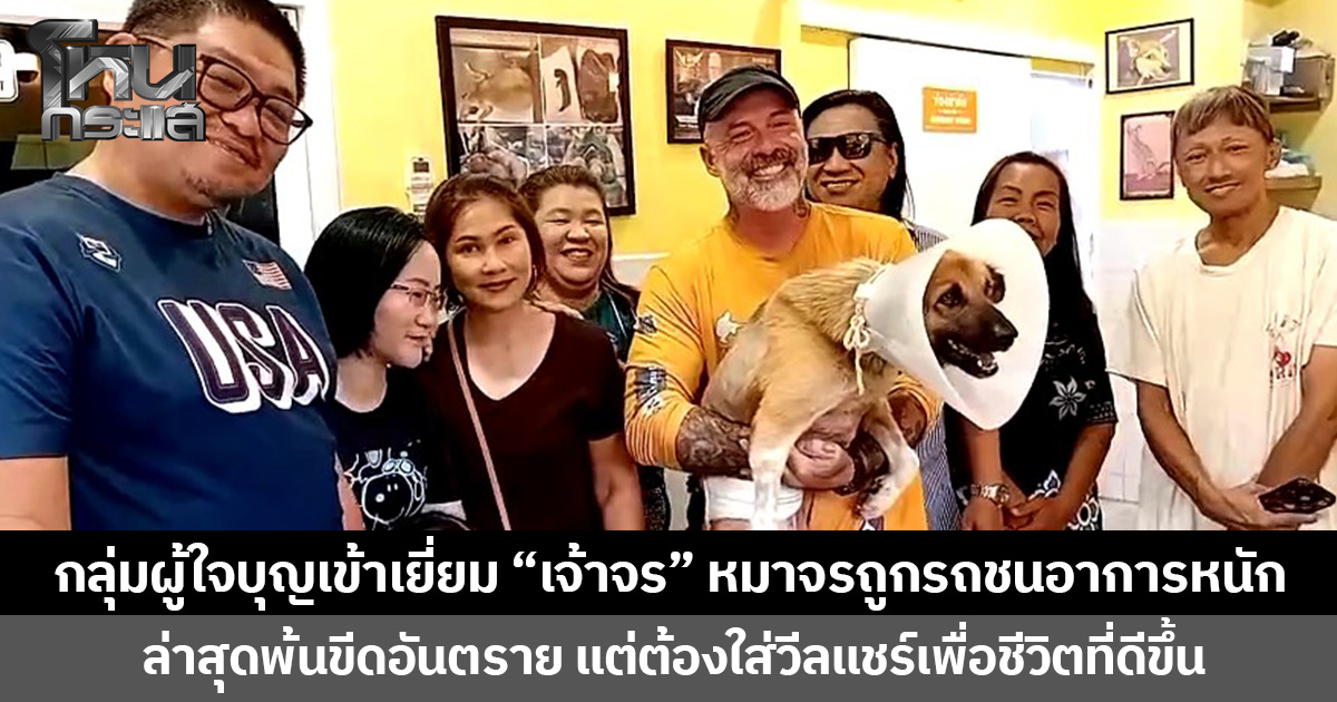 กลุ่มผู้ใจบุญเข้าเยี่ยม “เจ้าจร” หมาจรถูกรถชนอาการหนัก  ล่าสุดพ้นขีดอันตราย แต่ต้องใส่วีลแชร์เพื่อชีวิตที่ดีขึ้น