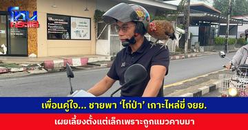 ชายพา ‘ไก่ป่า’ เกาะไหล่ขี่ จยย. เผยเลี้ยงตั้งแต่เล็กเพราะถูกแมวคาบมา