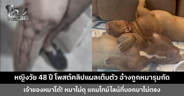 หญิงวัย 48 ปี โพสต์คลิปแผลเต็มตัว อ้างถูกพิทบูลรุมกัด เจ้าของหมาโต้! หมาขี้เล่น ถ้ากัดจริงพร้อมรับผิดชอบ