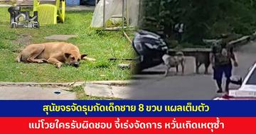 สุนัขจรจัด รุมกัดเด็กชาย 8 ขวบ บาดแผลเต็มตัว แม่โวยใครรับผิดชอบ วอนหน่วยงานเร่งแก้ปัญหา หวั่นเกิดเหตุซ้ำอีก ล่าสุดเขตประสานจับสุนัขล็อตแรกแล้ว