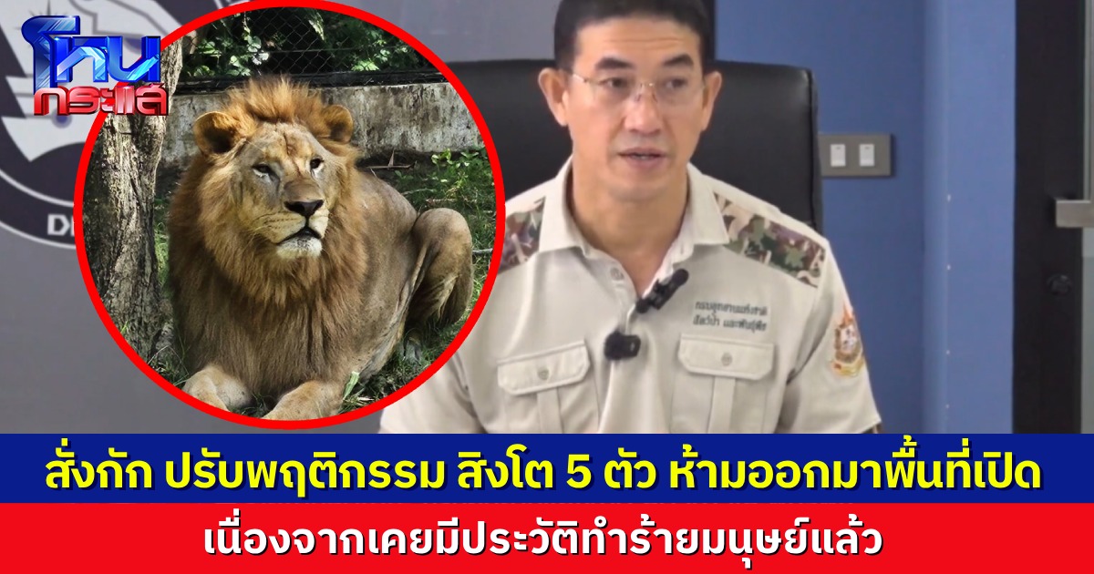 กรมอุทยานฯ สั่งกักสิงโต 5 ตัว ปรับพฤติกรรม เนื่องจากมีประวัติทำร้ายคนแล้ว ห้ามโชว์ตัว-ห้ามถ่ายรูปกับนักท่องเที่ยว