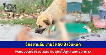 จักรยานล้ม ชายวัย 50 ปี เจ็บหนัก สุนัขคู่ใจนั่งเฝ้าไม่ห่าง พลเมืองดีช่วยรับสุนัขไปดูแลแทนชั่วคราว
