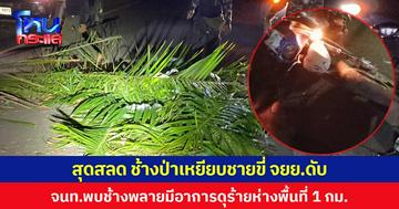 สุดสลด ช้างป่าเหยียบชายขี่ จยย.ดับ  จนท.พบช้างพลายมีอาการดุร้ายห่างพื้นที่ 1 กม.