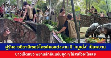 คู่รักเชฟชาวอิตาลีเซอร์ไพรส์ขอแต่งงานริมบ่อฮิปโปแคระ มี ‘หมูเด้ง’ เป็นสักขีพยานรัก