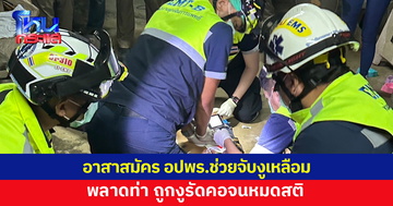 อาสาสมัคร อปพร.ช่วยจับงูเหลือมบ้านชาวบ้าน แต่พลาดท่า งูรัดคอจนหมดสติ