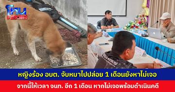 หญิงร้องชมรมจิตอาสารักษ์สัตว์ เจ้าหน้าที่ อบต. จับหมาไปปล่อย 1 เดือนยังหาไม่เจอ