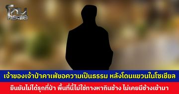 ป่าไม้ตรวจรังวัด ‘เจ้าป่าคาเฟ่-อาศรมมรรคง่าย’ เจ้าของขอความเป็นธรรม ยืนยันพื้นที่นี้ไม่เคยมีช้างเข้ามา