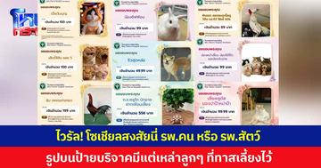 ไวรัลน่ารัก! โซเชียลสงสัยนี่ รพ.คน หรือ รพ.สัตว์ รูปบนป้ายบริจาคมีแต่บรรดาลูกๆ ที่ทาสเลี้ยงไว้ทั้งนั้น บางตัวอ่านชื่อแล้วฮาลั่น