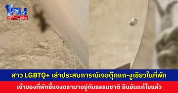 สาว LGBTQ+ เล่าประสบการณ์เจอตุ๊กแกขงูเขียวในที่พัก ด้านเจ้าของที่พักชี้แจงดรามาอยู่กับธรรมชาติ