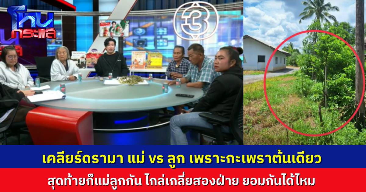 โหนกระแสจบดรามา แม่ vs ลูก ทะเลาะกันเรื่องกะเพราต้นเดียว วอนสองฝ่าย ลงให้กันได้ไหม
