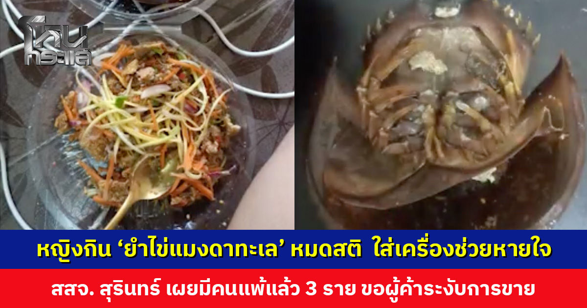 ‘ยำไข่แมงดาทะเล’ เกือบคร่าชีวิต! หญิงหมดสติ นอน ICU ใส่เครื่องช่วยหายใจ สสจ. สุรินทร์ ขอผู้ค้าระงับการขาย