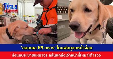 ‘ลอมเมล K9 ทหาร’ โดนพ่อดุจนหน้าจ๋อย หลังใช้อำนาจในทางมิชอบ แกล้งหมาจร ป่วนหมาตำรวจ