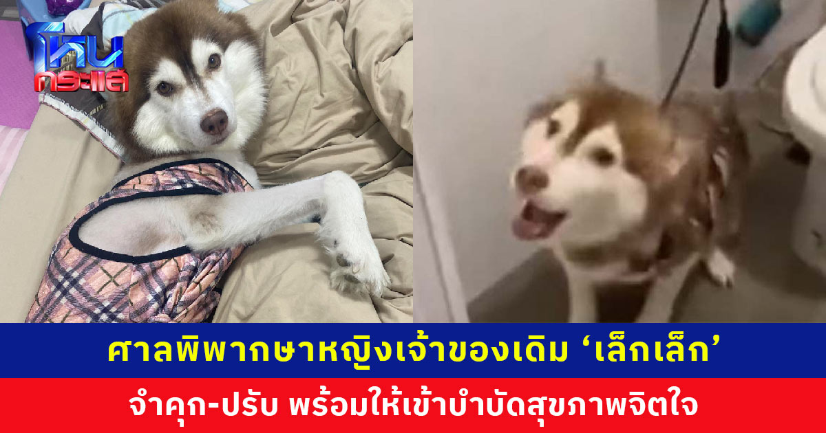 ศาลพิพากษาหญิงเจ้าของเดิม ใช้น้ำร้อนราด ‘เล็กเล็ก’ จำคุก-ปรับ พร้อมให้เข้าบำบัดสุขภาพจิตใจ