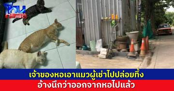 ตามหาแมว 3 ตัว ที่ถูกเจ้าของหอพักเอาไปปล่อยทิ้ง อ้าง คิดว่าเจ้าของแมวย้ายออกไปแล้วทิ้งแมวไว้