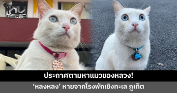 สภ.เชิงทะเล ภูเก็ต ประกาศตามหา 'น้องหลงหลง' หายจากโรงพัก