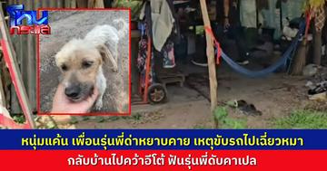 หนุ่มเดือด ถูกเพื่อนรุ่นพี่ด่า เพราะขับรถไปเฉี่ยวโดนหมา กลับไปเอาอีโต้มาฟัน ตอนคู่กรณีนอนหลับในเปล