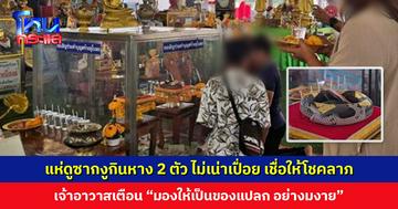 ชาวบ้านแห่ดูซากงูกินหาง 2 ตัว ไม่เน่าเปื่อย เชื่อให้โชคให้ลาภ เจ้าอาวาสแปะป้ายเตือน “มองให้เป็นของแปลก อย่างมงาย”