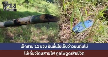 ด.ช.11 ขวบ ปีนขึ้นไปเก็บว่าวบนต้นไม้ เกี่ยวถูกสายไฟ ถูกไฟดูดดับ