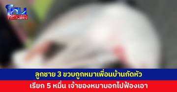 ลูกชาย 3 ขวบถูกหมาเพื่อนบ้านกัดหัว เรียกค่าชดใช้ 5 หมื่น เจ้าของบอกไม่มีให้ 