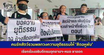 กลุ่มคนรักสัตว์รวมพลทวงความยุติธรรมให้ช้างป่า ‘สีดอหูพับ’ เรียกร้องอธิบดีกรมอุทยานฯ-หมอ ลาออก