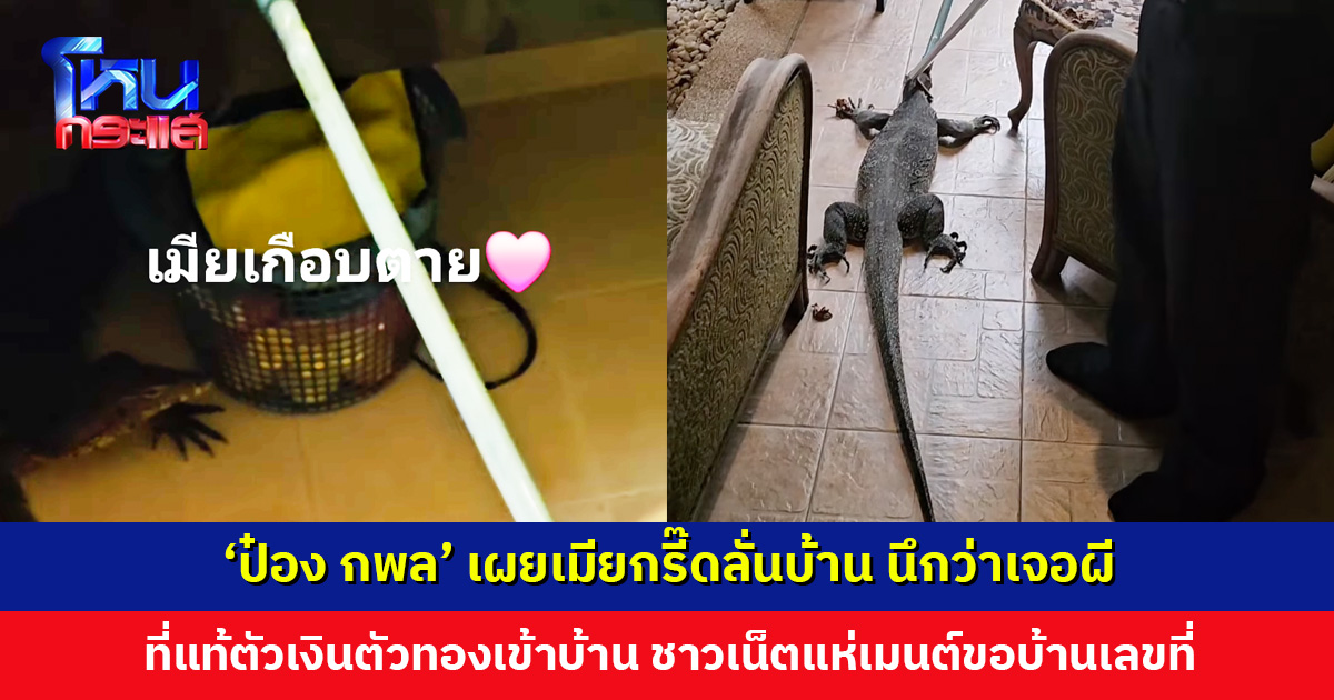 ‘ป๋อง กพล’ เผยเมียกรี๊ดลั่นบ้าน นึกว่าเจอผี ที่แท้ตัวเงินตัวทองเข้าบ้าน ชาวเน็ตแห่เมนต์ขอบ้านเลขที่