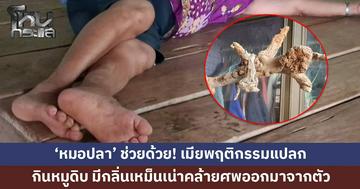 ผัววอน 'หมอปลา' ช่วยด้วย! เมียมีพฤติกรรมแปลก กินหมูดิบ เดินแก้ผ้า มีกลิ่นเหม็นเน่าคล้ายศพออกมาจากตัว