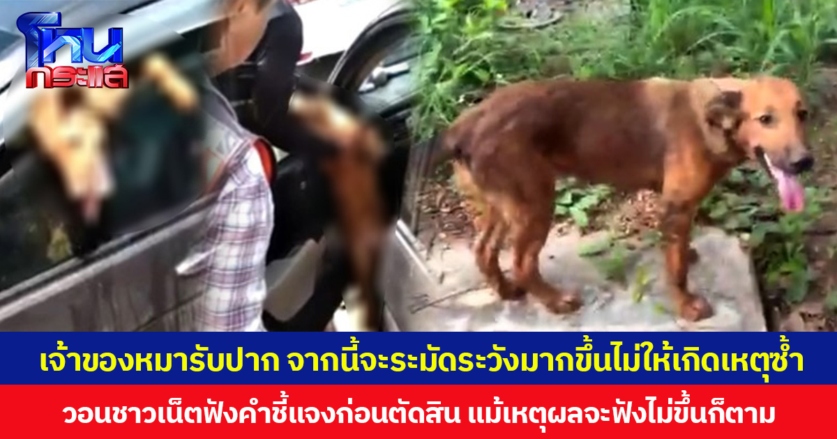 เจ้าของหมารับปาก จากนี้จะระมัดระวังมากขึ้นไม่ให้เกิดเหตุซ้ำ  วอนชาวเน็ตฟังคำชี้แจงก่อนตัดสิน แม้เหตุผลจะฟังไม่ขึ้นก็ตาม