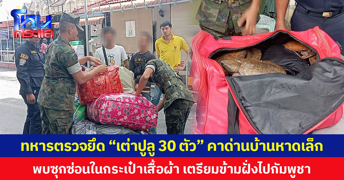 ทหารตรวจยึด “เต่าปูลู 30 ตัว” คาด่านบ้านหาดเล็ก พบซุกซ่อนในกระเป๋าเสื้อผ้า เตรียมข้ามฝั่งไปกัมพูชา