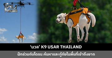 ‘นวล’ K9 USAR THAILAND ฝึกปฏิบัติการร่วมกับโดรน พัฒนาขีดความสามารถด้านการค้นหาและกู้ภัยในพื้นที่เข้าถึงยาก