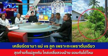 โหนกระแสจบดรามา แม่ vs ลูก ทะเลาะกันเรื่องกะเพราต้นเดียว วอนสองฝ่าย ลงให้กันได้ไหม