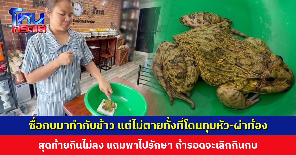 หญิงซื้อกบมาทำกับข้าว พอดูดีๆ ยังดิ้นอยู่ในถุงทั้งที่โดนทุบหัว-ผ่าท้อง สุดท้ายกินไม่ลง แถมพาไปรักษา