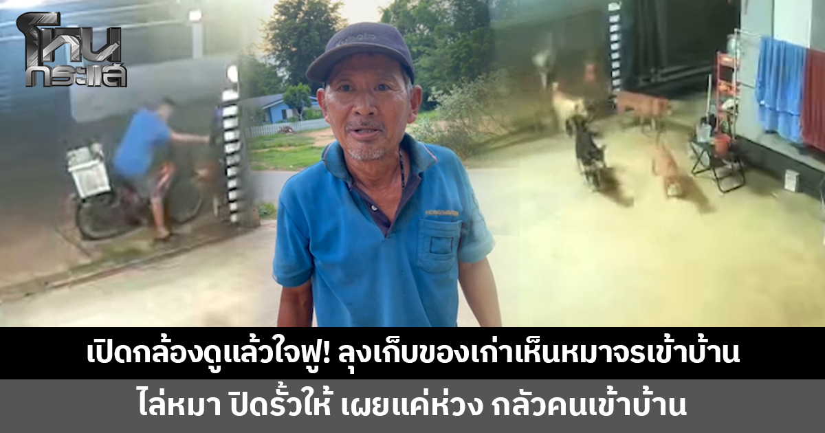 เปิดกล้องดูแล้วใจฟู! ลุงเก็บของเก่าเห็นหมาจรเข้าบ้าน ไล่หมา ปิดประตูรั้วให้