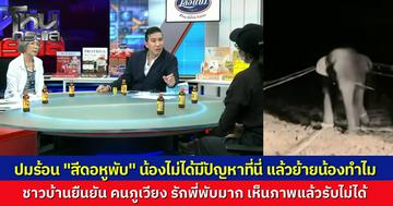 ถกเดือดปม "สีดอหูพับ" ล้มขณะเคลื่อนย้าย ชาวบ้านฮือไล่อธิบดีกรมอุทยานฯ พ้นตำแหน่ง แฉพิรุธเร่งรัดจับผิดตัวแถมอัดยาเกินขนาดทำช้างสำลักตาย จี้สอบปมใบสั่งนายทุนรีสอร์ตบุกรุกป่า