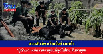สวนสัตว์พาต้าแจ้งข่าวเศร้า ‘ปู่ดำเงา’ หมีควายอายุยืนที่สุดในไทย สิ้นอายุขัยแล้ว