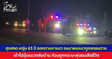 สุดสลด หญิง 61 ปี ออกตามหาแมว จนมาพบแมวถูกรถชนตาย  เข้าไปอุ้มแมวกลับบ้าน ก่อนถูกกระบะพุ่งชนเสียชีวิต