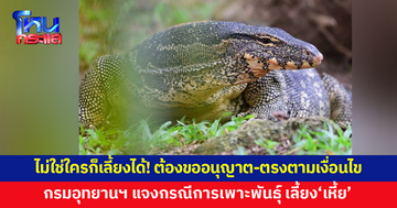 ไม่ใช่ใครก็เลี้ยงได้! กรมอุทยานแห่งชาติฯ แจงกรณี "เหี้ย" สัตว์ป่าคุ้มครองเพาะพันธุ์ได้ 