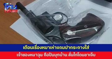 เจ้าของหมาโดนเพื่อนบ้านเตือนเรื่องหมาเห่า ถือปืนบุกบ้านหวังเคลียร์ กลับโดนปากระถางใส่ ฉุนจัด ลั่นไก 2 นัด
