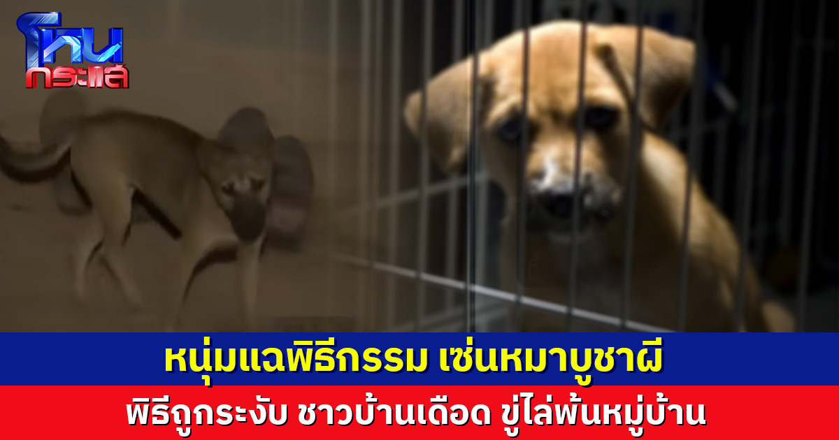 หนุ่มแฉพิธีกรรมโหด เซ่นหมาบูชาผี จนท.ประสานสั่งระงับ ชาวบ้านเดือด ขู่ไล่พ้นหมู่บ้าน