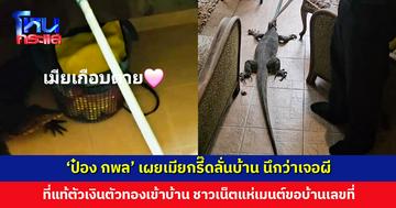 ‘ป๋อง กพล’ เผยเมียกรี๊ดลั่นบ้าน นึกว่าเจอผี ที่แท้ตัวเงินตัวทองเข้าบ้าน ชาวเน็ตแห่เมนต์ขอบ้านเลขที่