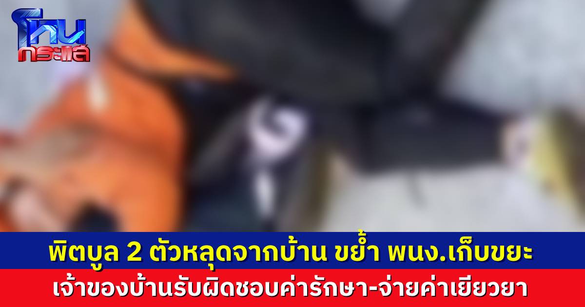 พิตบูล 2 ตัวขย้ำ พนักงานเก็บขยะของเทศบาล บาดเจ็บหนัก เจ้าของบ้านรับผิดชอบค่ารักษา-จ่ายค่าทำขวัญ