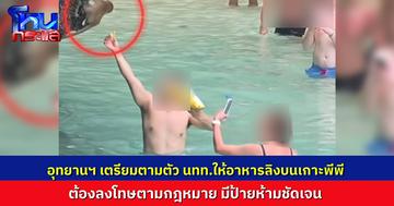 ว่อนคลิป นักท่องเที่ยวให้อาหารลิงบนเกาะพีพี อุทยานฯ เร่งติดตามตัวนักท่องเที่ยวในคลิปมาลงโทษ ชี้ผิดกฎหมายชัดเจน