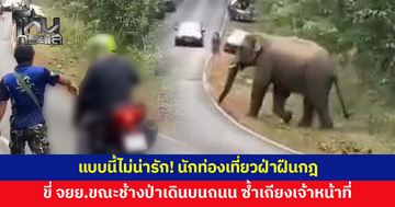 นักท่องเที่ยวฝ่าฝืนกฎ ขี่ จยย.ฝ่าขณะช้างป่าเดินบนถนน ตักเตือนไม่ฟังแถมเถียง