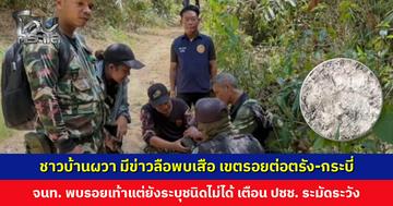 ชาวบ้านผวา มีข่าวลือพบเสือ เขตรอยต่อตรัง-กระบี่ เจ้าหน้าที่พบรอยเท้าแต่ยังระบุชนิดไม่ได้