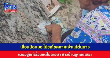 เลื่อนนัดหมอ ไปขอโชคลาภเจ้าแม่ต้นยาง เผยอยู่แค่เอื้อมแต่ไม่เคยมา ชาวบ้านถูกกันเยอะ