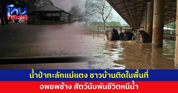 แม่แตง เชียงใหม่น้ำป่ามาเร็ว ชาวบ้านติดในพื้นที่ อพยพช้าง สัตว์นับพันชีวิตหนีน้ำ