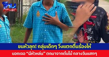 ขนหัวลุก! กลุ่มเด็กๆ วิ่งแตกตื่นร้องไห้ บอกเจอ “ผีหัวหล่น” ตกมาจากต้นไม้ กลางวันแสกๆ