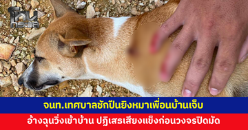 เจ้าหน้าที่เทศบาลชักปืนยิงหมาเพื่อนบ้านเจ็บ อ้างโมโหวิ่งเข้าบ้าน