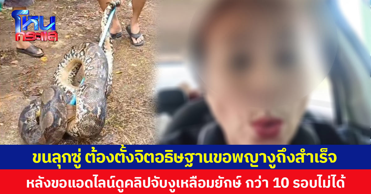 ขนลุกซู่! ต้องตั้งจิตอธิษฐานขอพญางูถึงสำเร็จ หลังขอแอดไลน์ดูคลิปจับงูเหลือมยักษ์ กว่า 10 รอบไม่ได้