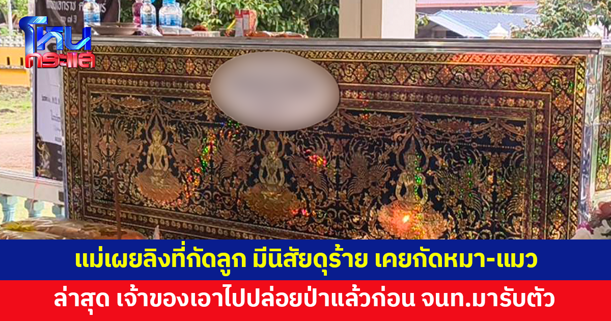 แม่เผยลิงที่กัดลูก 7 ขวบจนเสียชีวิต มีนิสัยดุร้าย เคยกัดหมา-แมวมาแล้ว ล่าสุด เจ้าของเอาไปปล่อยป่าแล้ว